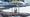Frigibax from Pokemon GO inside a phone screen for Pokemon GO Community Da