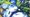 All Palworld TCG sets in release order as of 2026