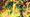 A close up of the artwork of Mega Rayquaza SIR from Pokémon delta reign