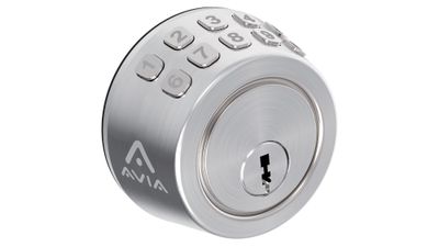 The Sunday Scene - 22