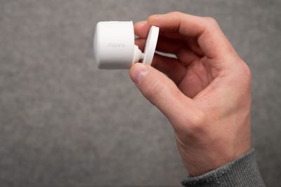 The Sunday Scene - 20