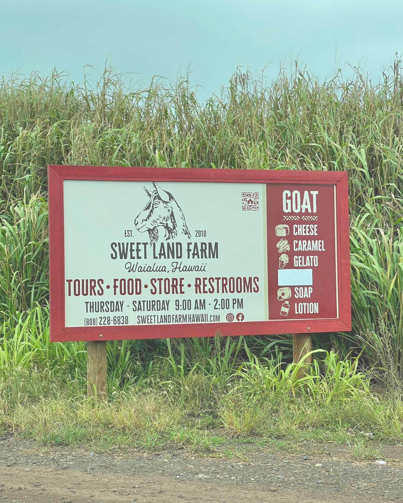 Sweet Land Farm- Waialua, Oʻahu
