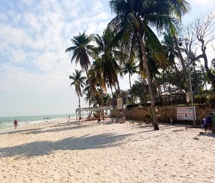 20 Months and Counting: Teaching English in Thailand