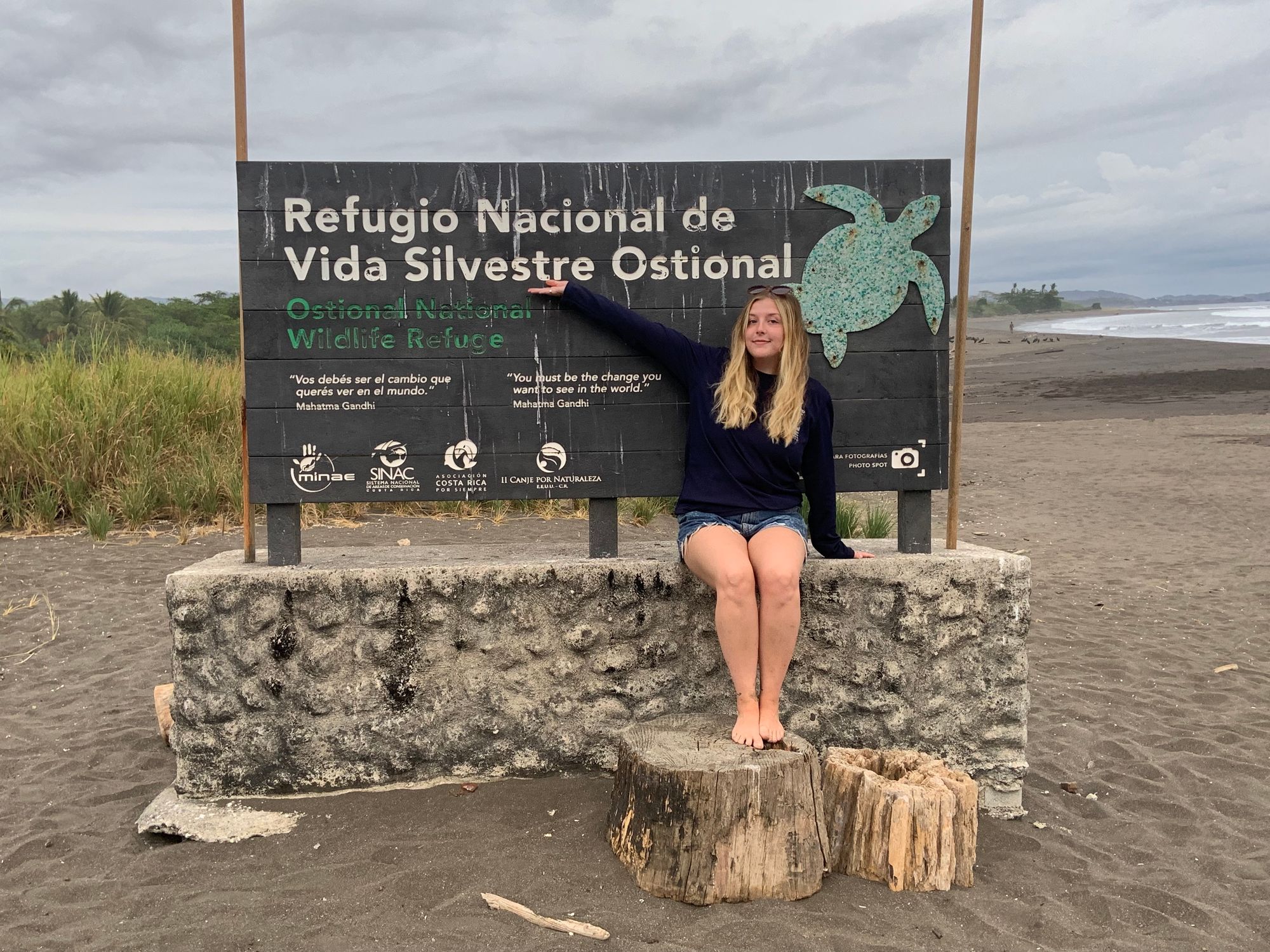 A Turtle-ific Month in Costa Rica! Alyssa A.