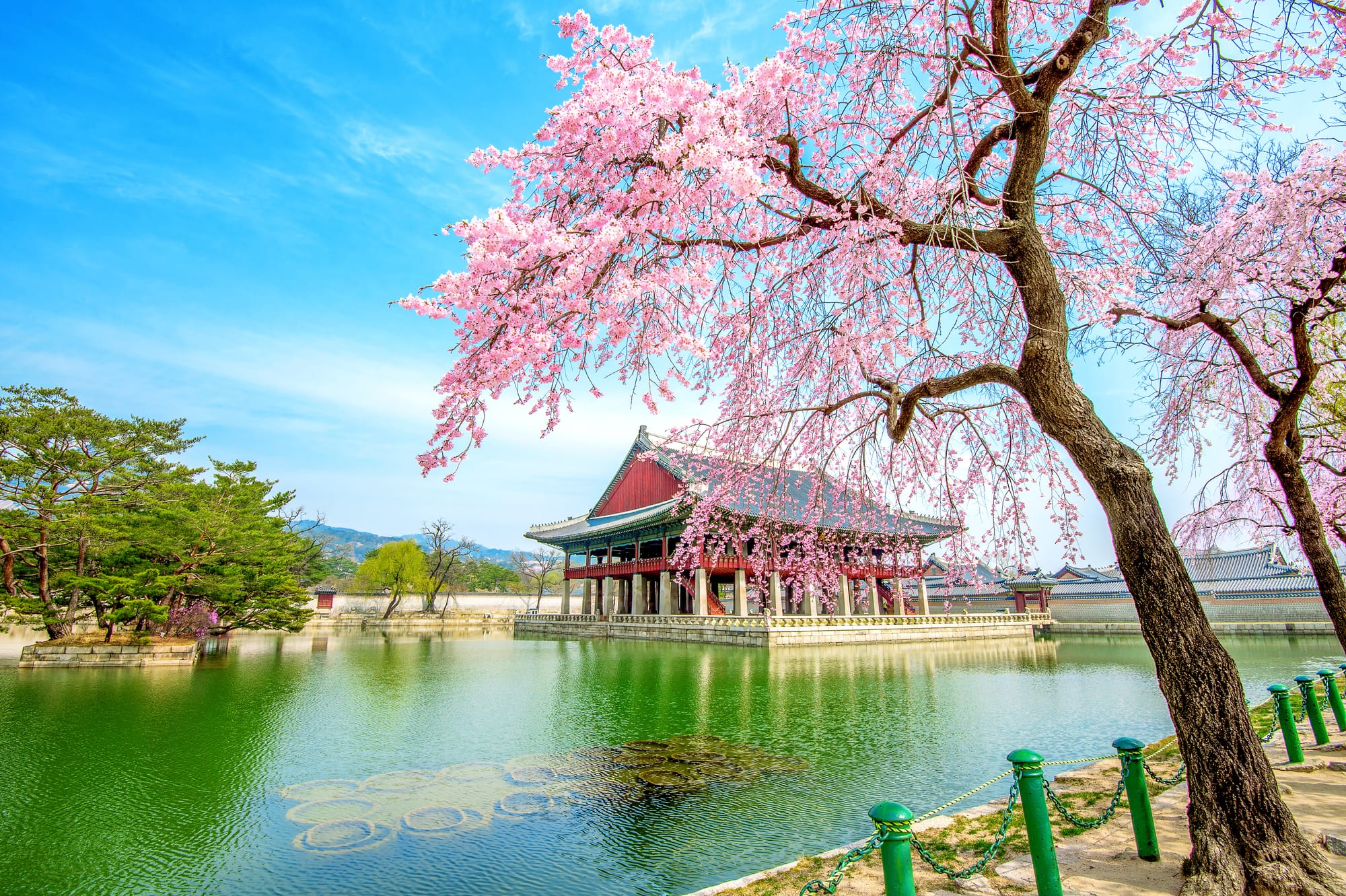 South Korea’s Working Holiday Visa - The Complete Guide