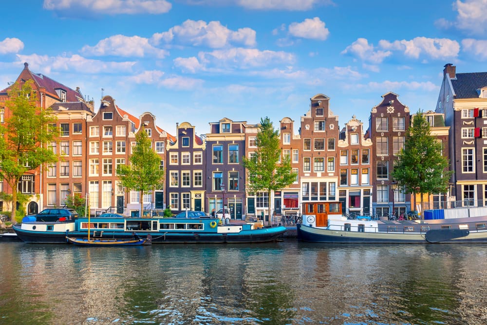 Netherlands Working Holiday Visa - The Complete Guide For 2026