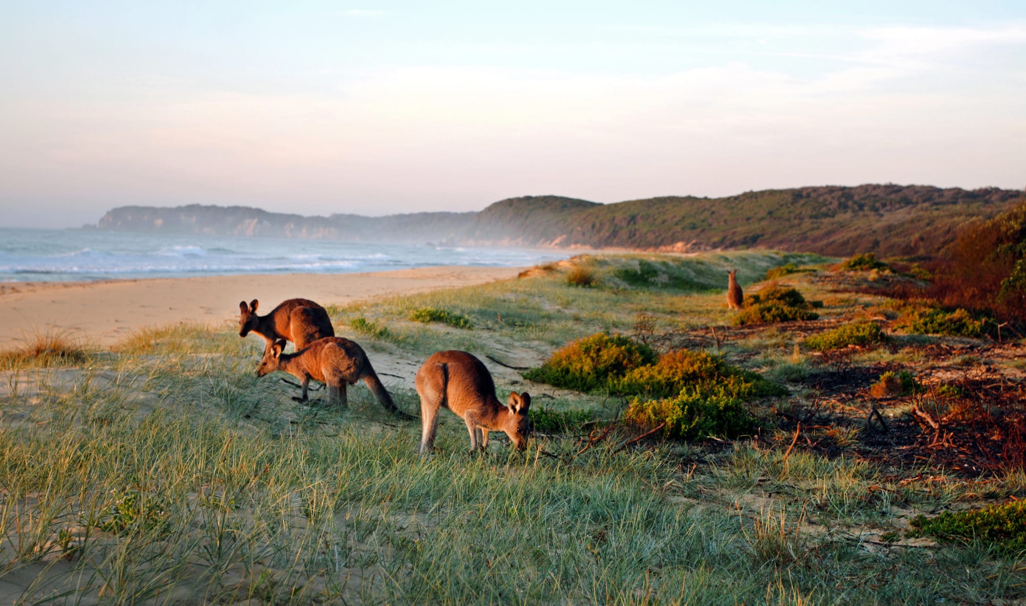 The complete working holiday guide for Australian citizens