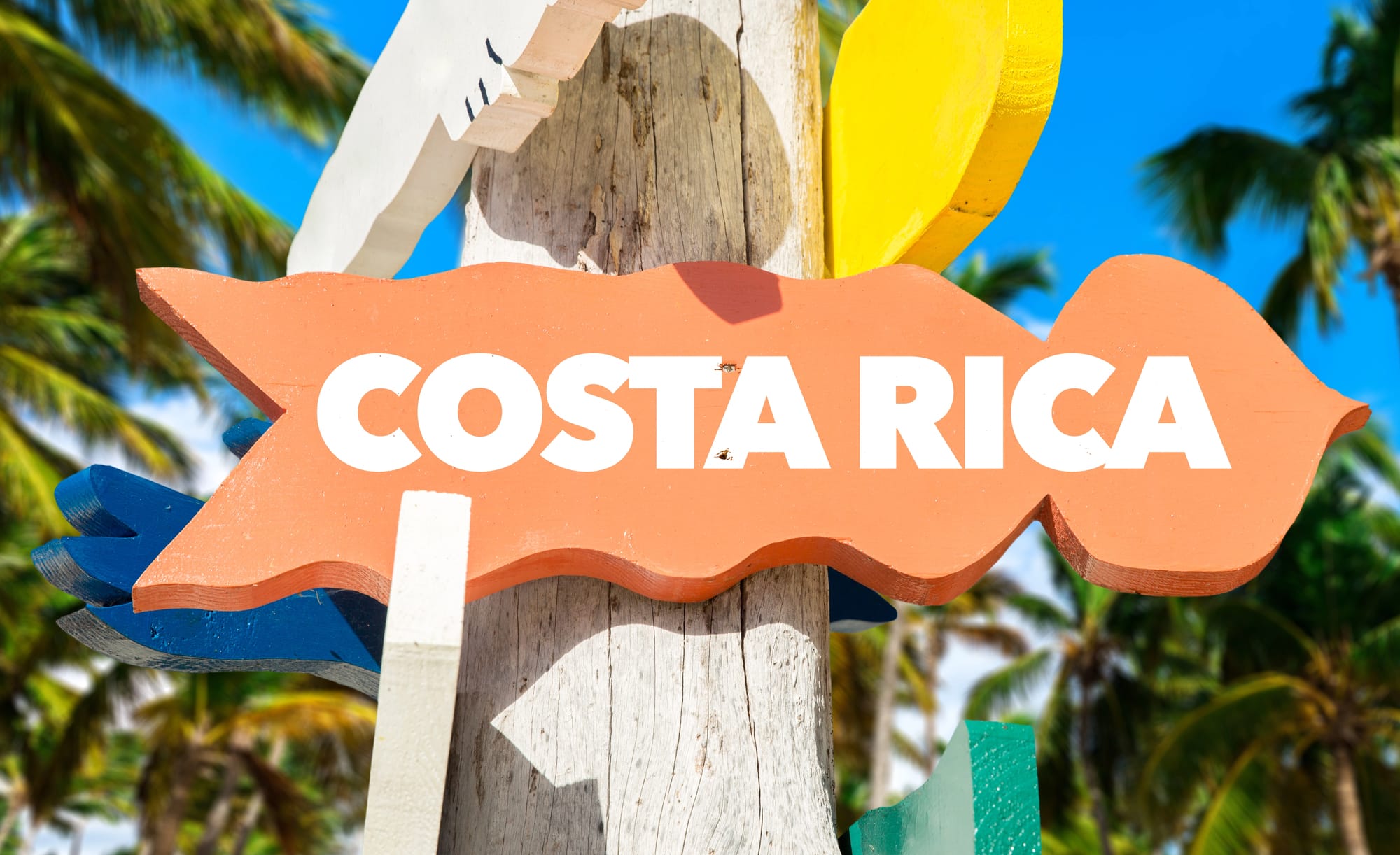 Everything you need to know about teaching in Costa Rica