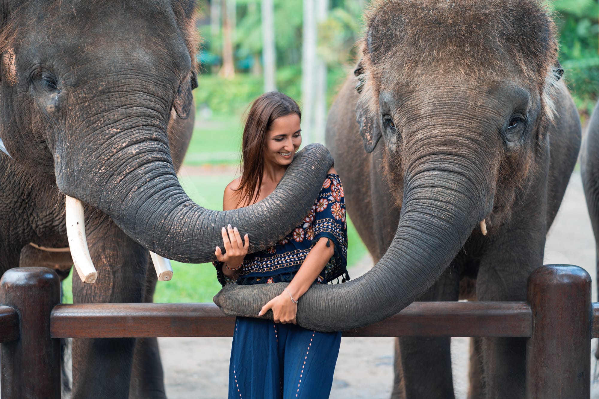 The Ethical Traveller's Guide to Seeing Vietnam's Wildlife Right