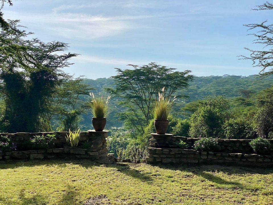 Trip Final Story -Part 4