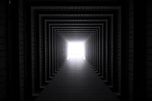 Vision