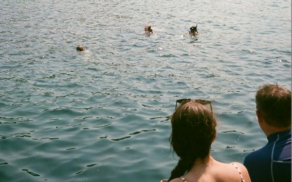 ☀️ VOTRE SYNDICAT EN PERIODE ESTIVALE 🌴