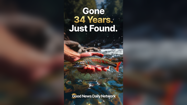 Gone 34 Years — Now They're Swimming Home