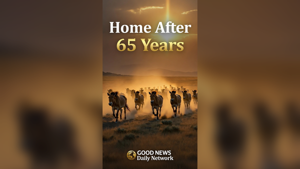 A Fence Kept Them Out for 65 Years — Now Hundreds Are Coming Home