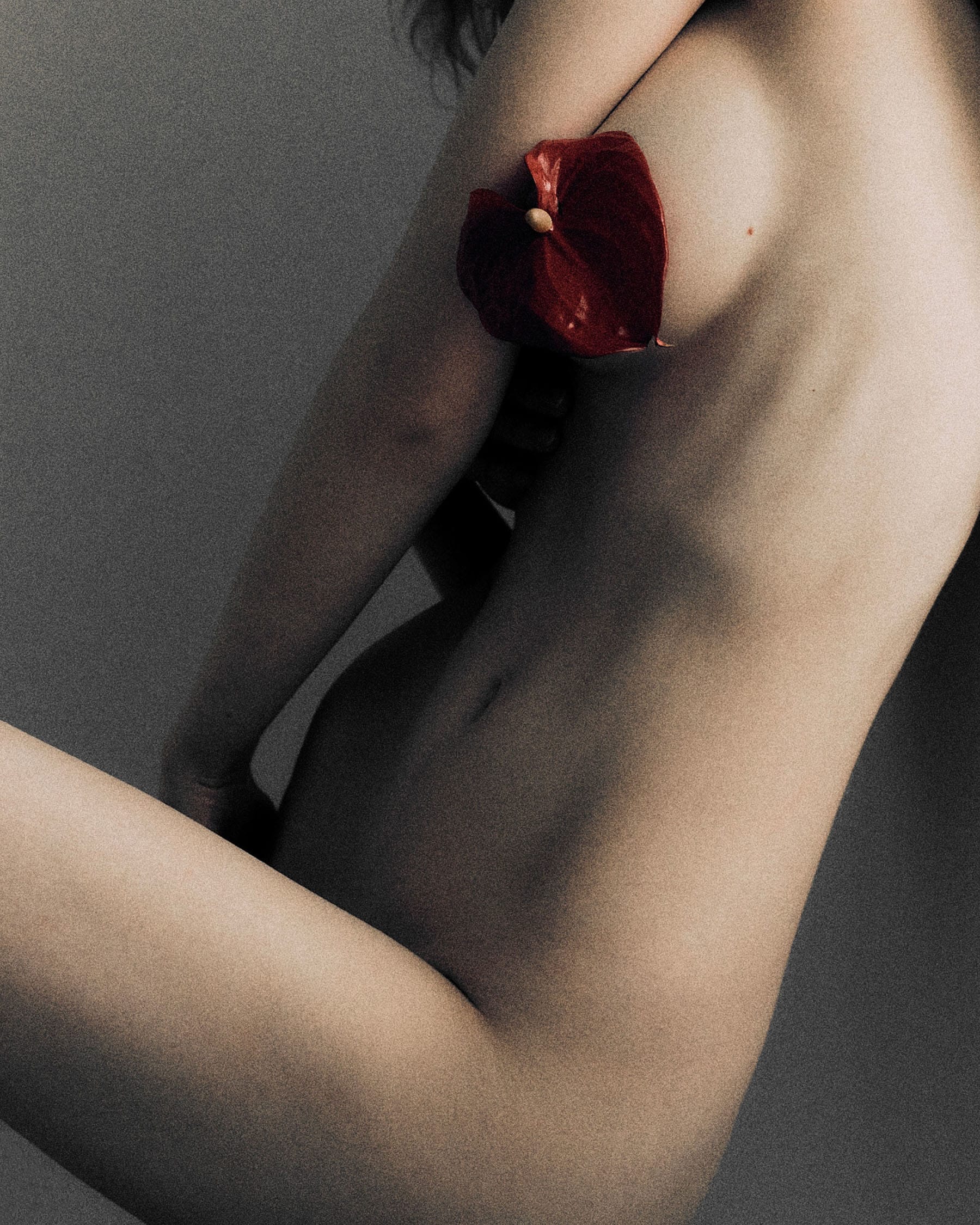 Camilla holds a red anthurium against her bare torso, arms and body framed in close crop with muted tones, photographed by Ekaterina Kachevskaya.