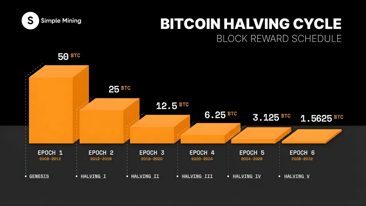 Infographic of the Bitcoin halving cycle and block reward schedule, showing the exponential decline from 50 BTC in 2009 to a projected 1.5625 BTC in 2028.