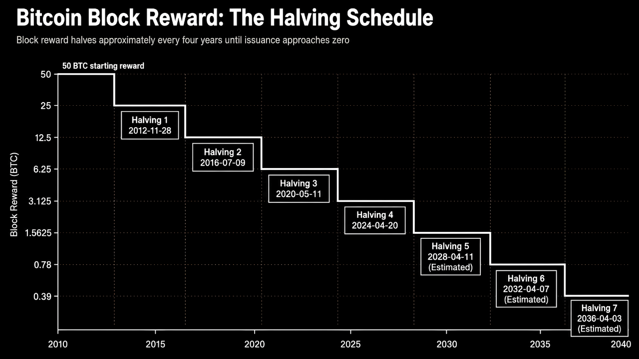 Step chart titled "Bitcoin Block Reward: The Halving Schedule" showing Bitcoin's issuance dropping from 50 BTC per block at launch through each halving in 2012 (25 BTC), 2016 (12.5), 2020 (6.25), 2024 (3.125), and estimated future halvings through 2036. Each halving cuts the block reward in half on a predictable schedule until total issuance approaches zero.