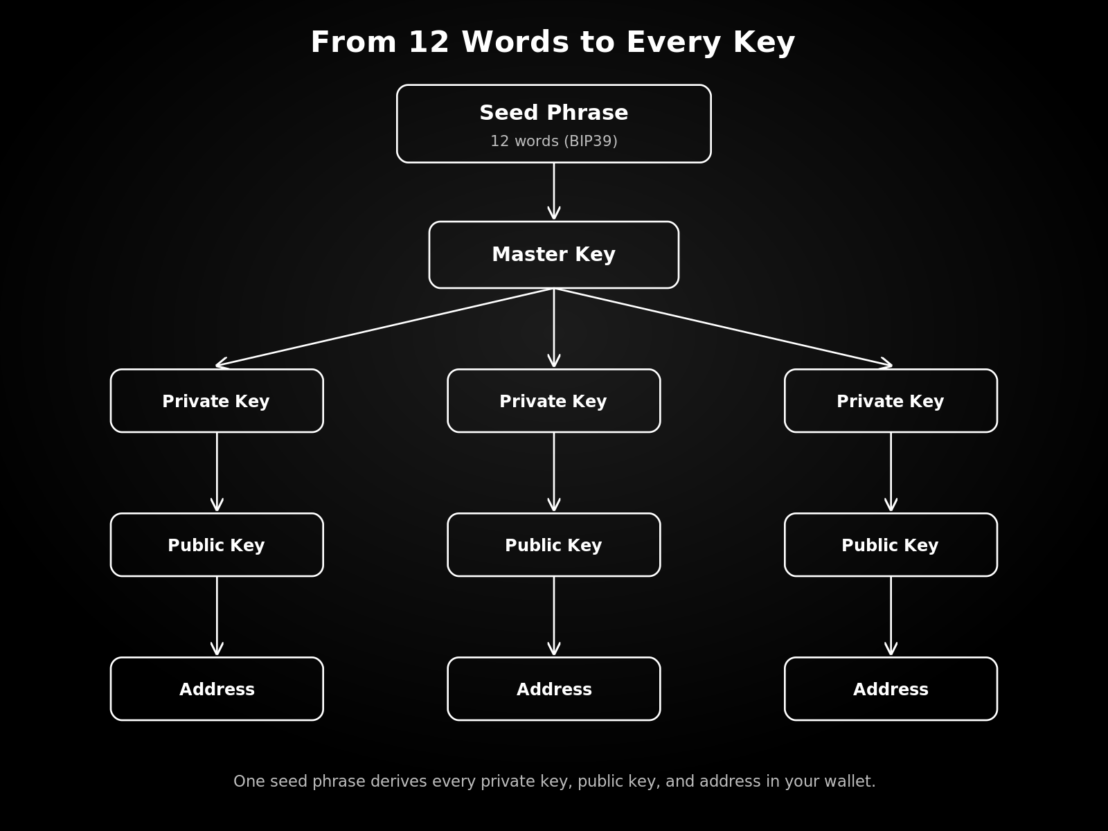 Diagram showing how a Bitcoin seed phrase derives keys: one seed phrase feeds a master key, which branches into private keys, then public keys, then addresses.