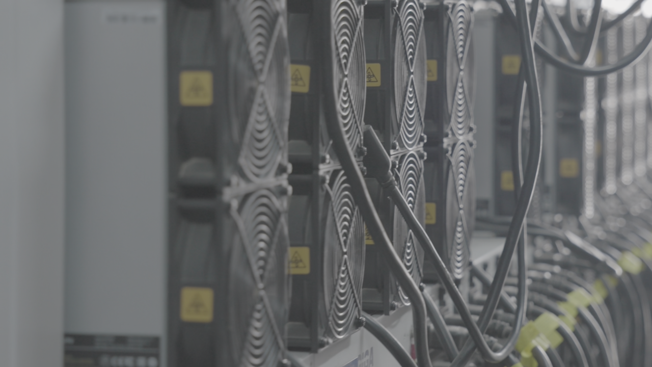 Rows of air-cooled ASIC miners with fans and cabling running at a Simple Mining hosting facility, the kind of setup used for Scrypt DOGE and LTC mining