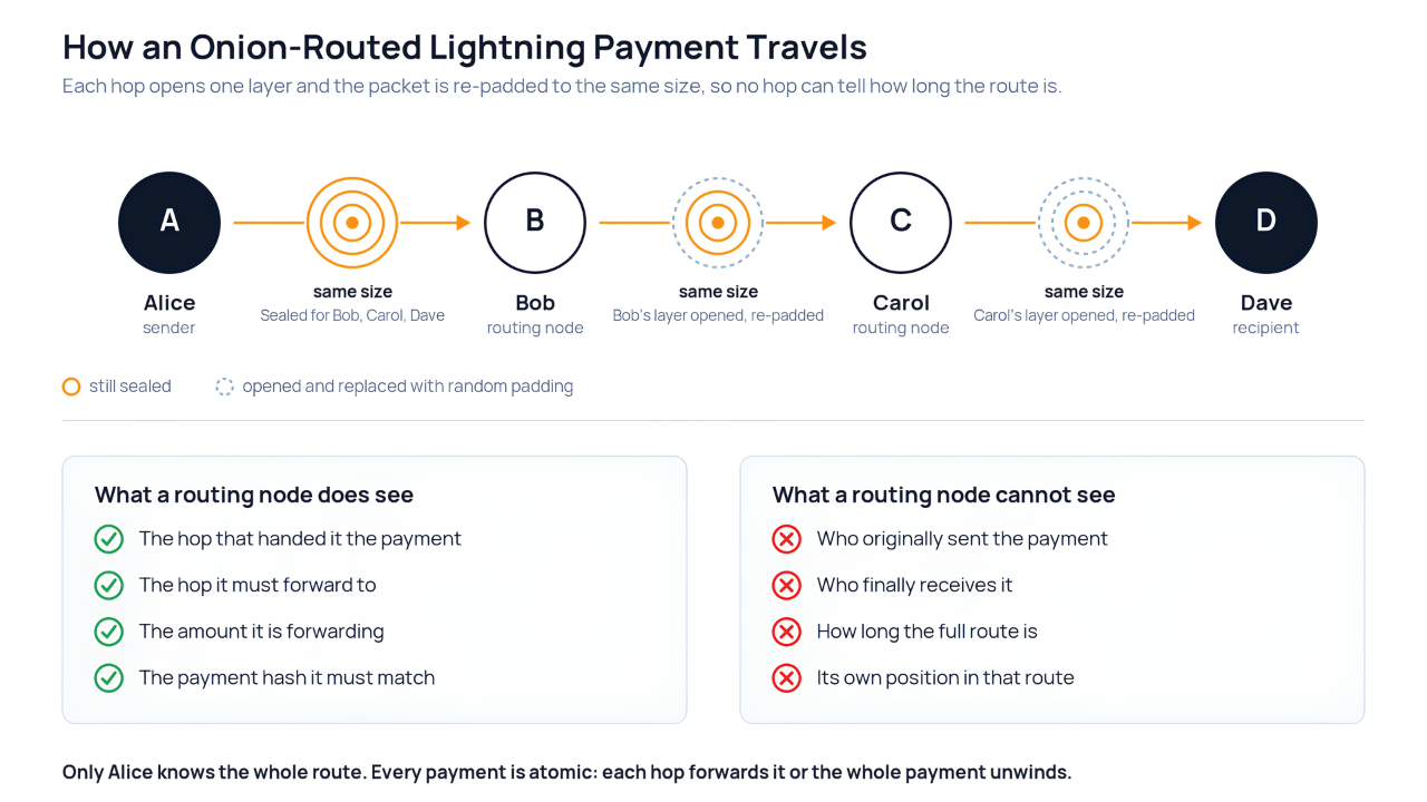 Diagram of a Lightning payment routed from Alice through Bob and Carol to Dave, showing each hop opening one onion layer while the packet stays the same size, and what a routing node sees.