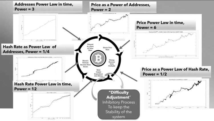 The Bitcoin Power Laws