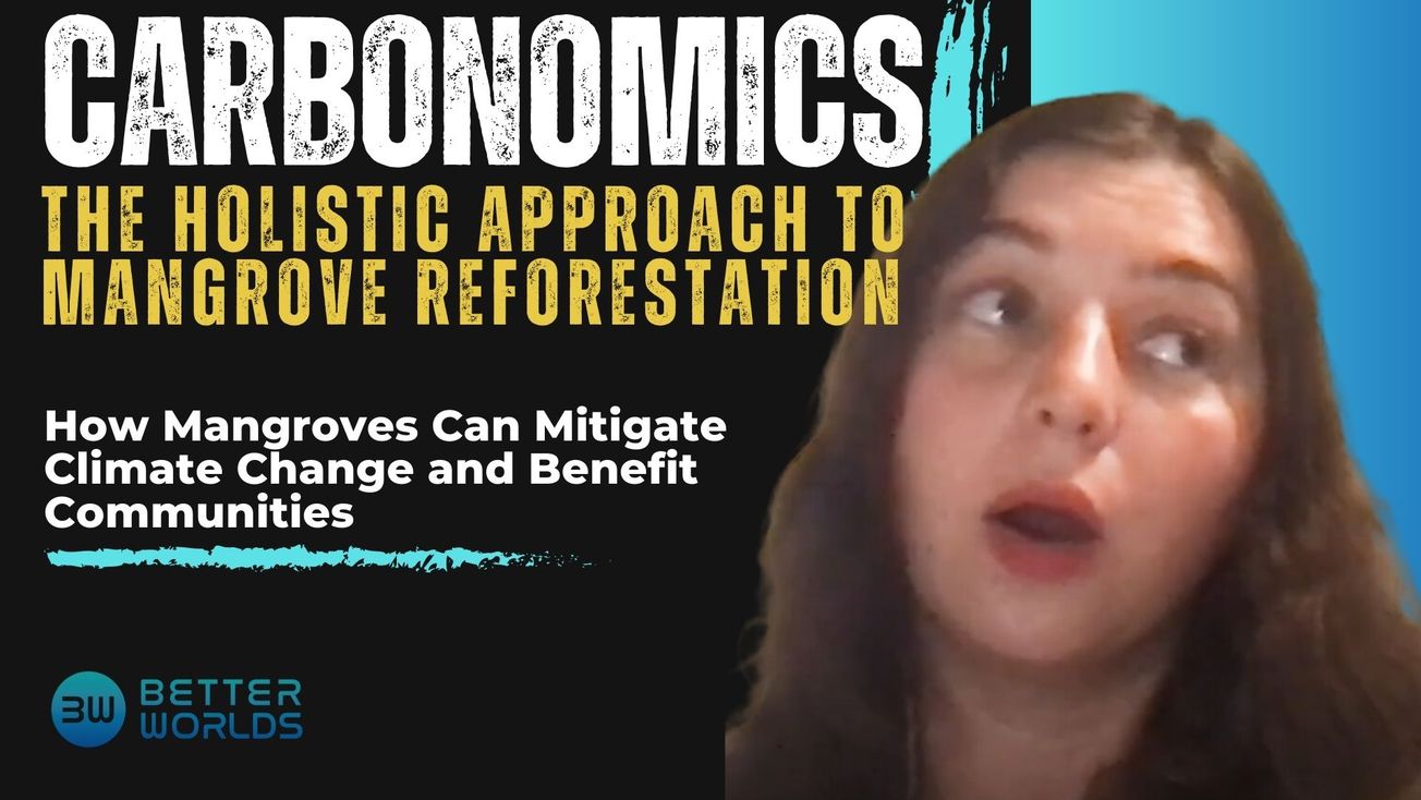 Super Mangroves with Dr Irina Fedorenko of Vlinder Climate