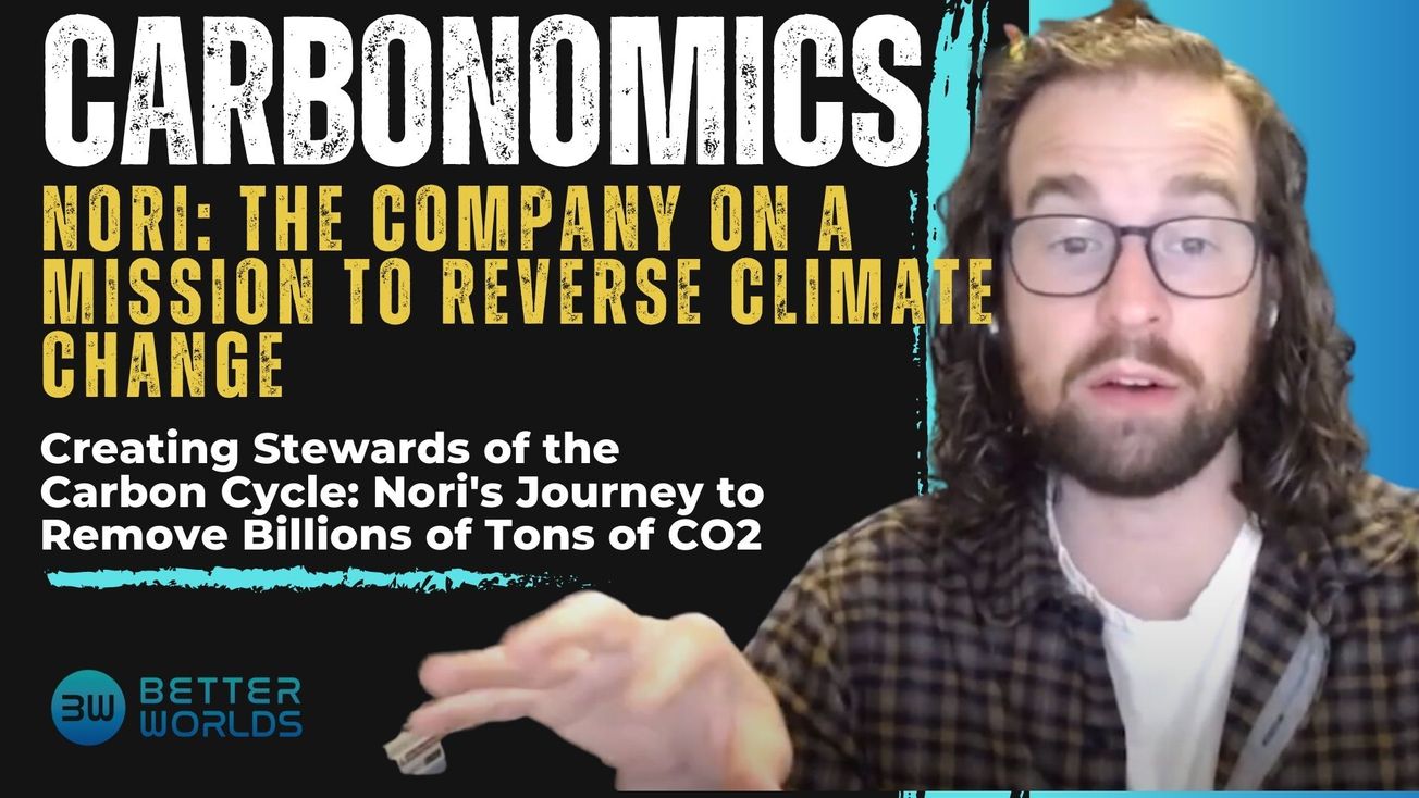 Will the carbon offset markets be enough to cover 50 Billion Tons of CO2 per year, forever?