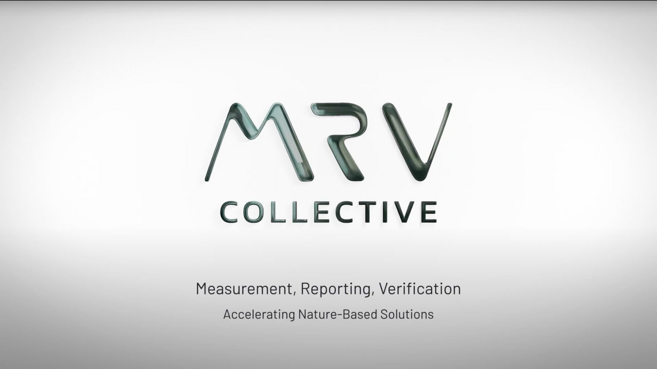 What is dMRV? - Roundtable