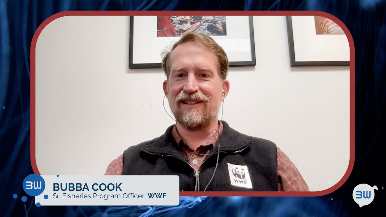 Tuna, Tech, and Ocean Communities