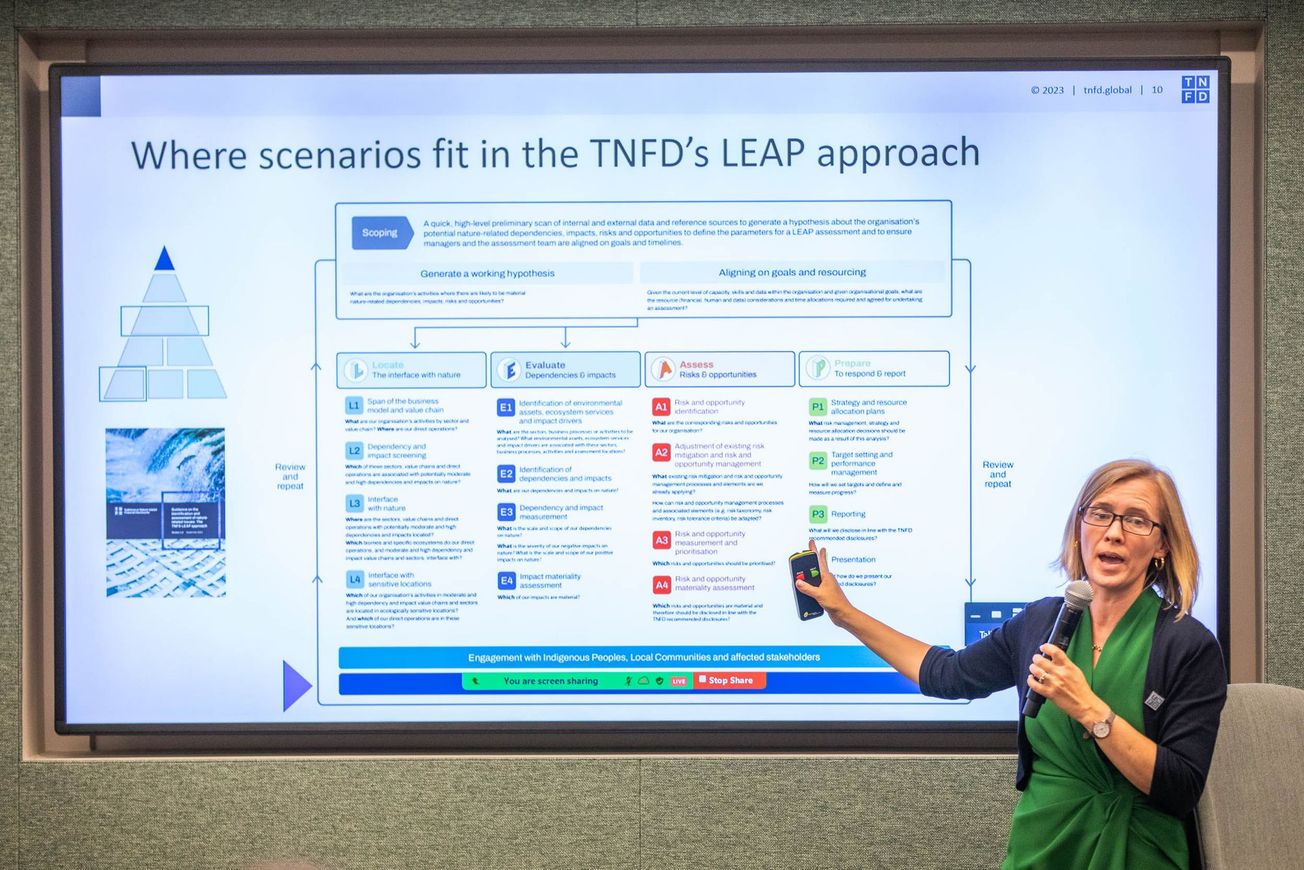 TNFD Releases Final Recommendations