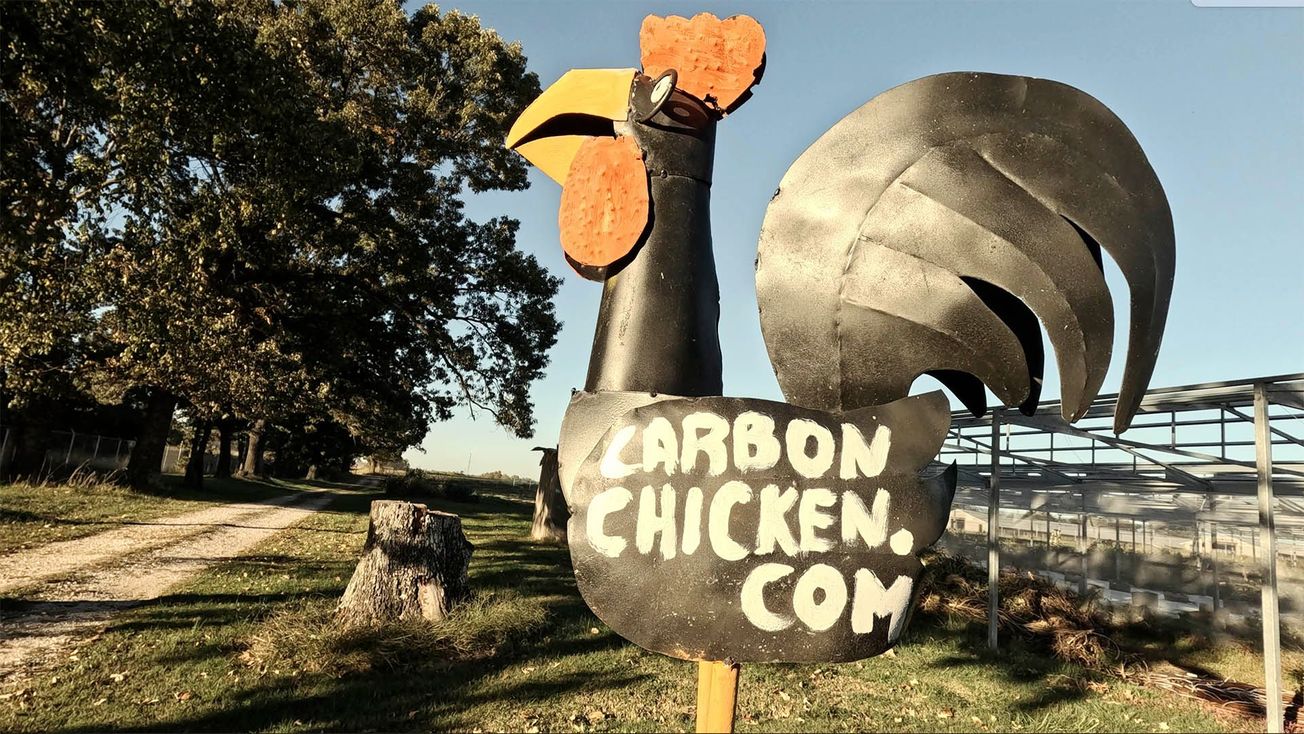 The Carbon Chicken Project Revolutionizing Agriculture: Carbon Farming and Blockchain Technology