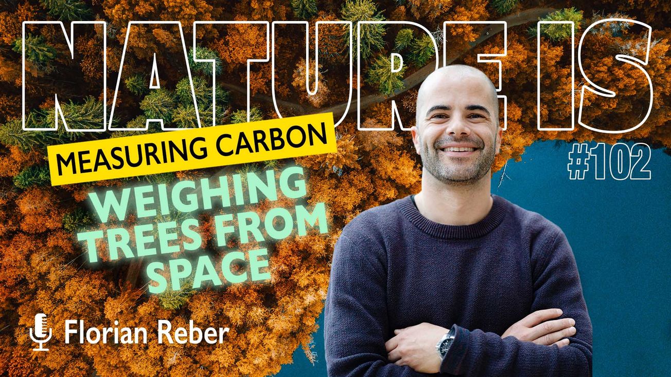 Weighing Trees From Space to Measure Carbon Impact