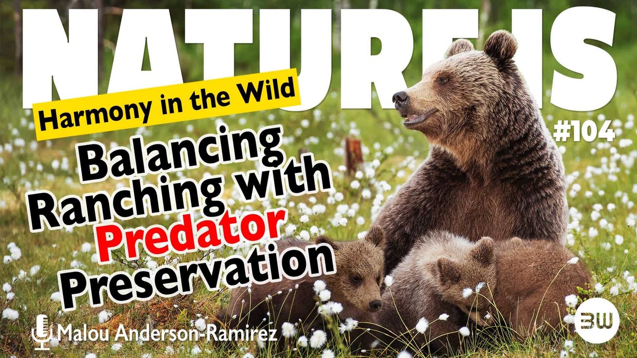 Harmony in the Wild: Balancing Ranching with Predator Preservation