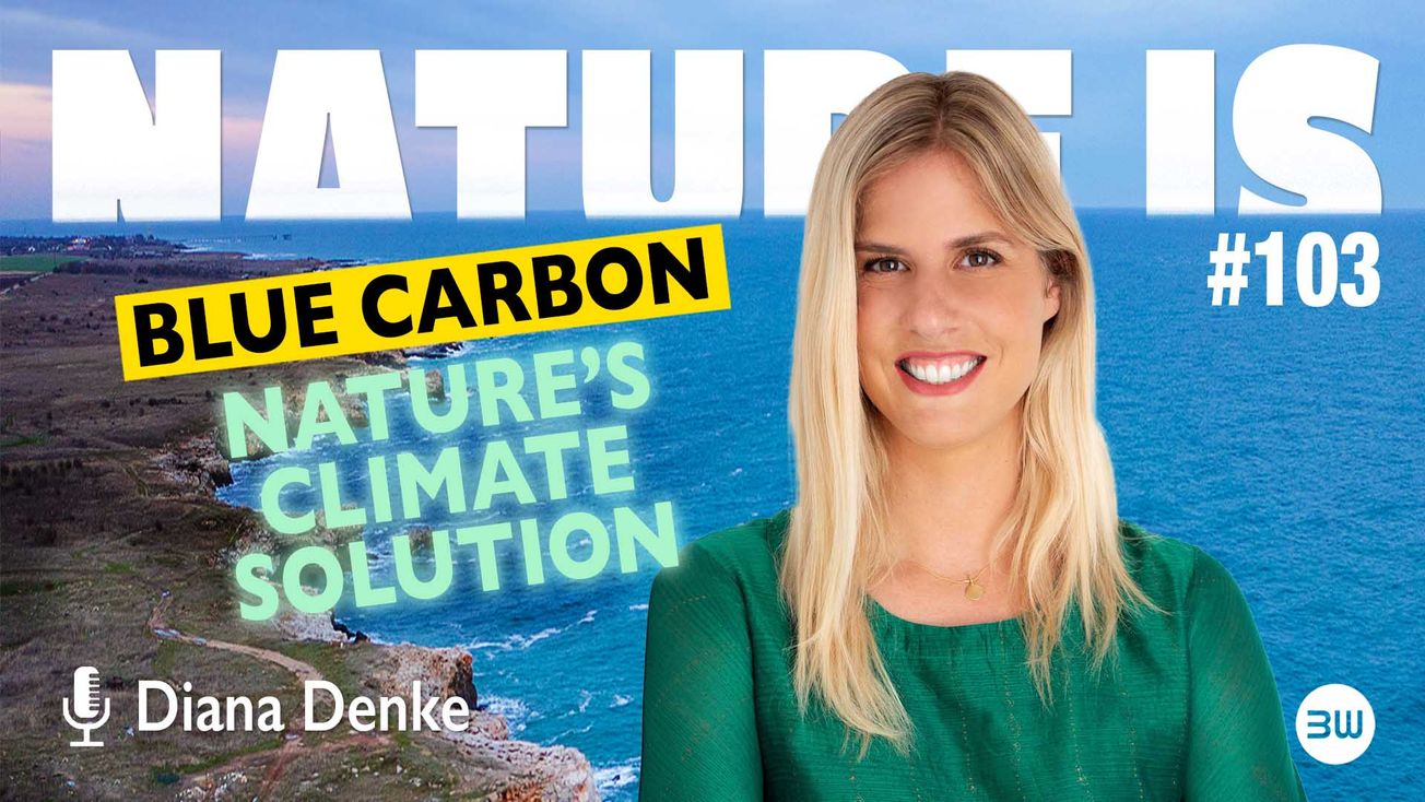 Where Ocean Meets Land, an Opportunity Arises to Decarbonize our Atmosphere