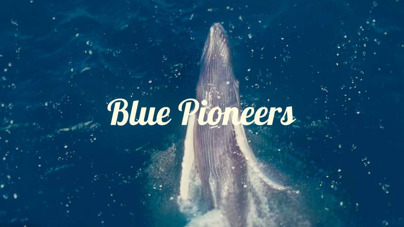 Blue Pioneers