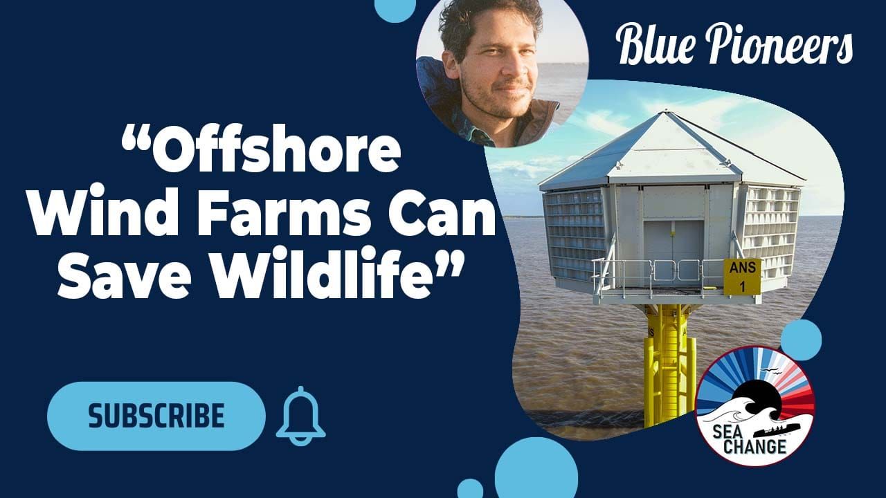 Advancing Marine Conservation Through Offshore Wind Development