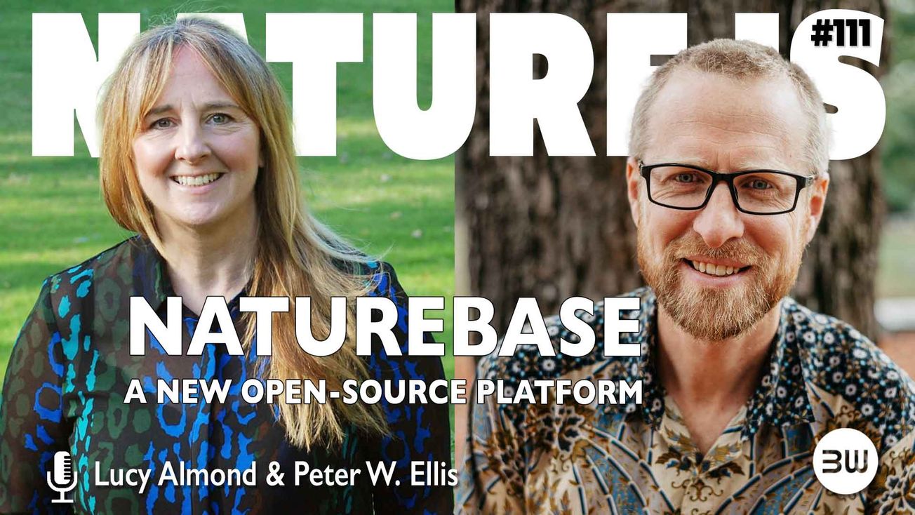 Implementing High-Integrity Nature-Based Solutions with Naturebase