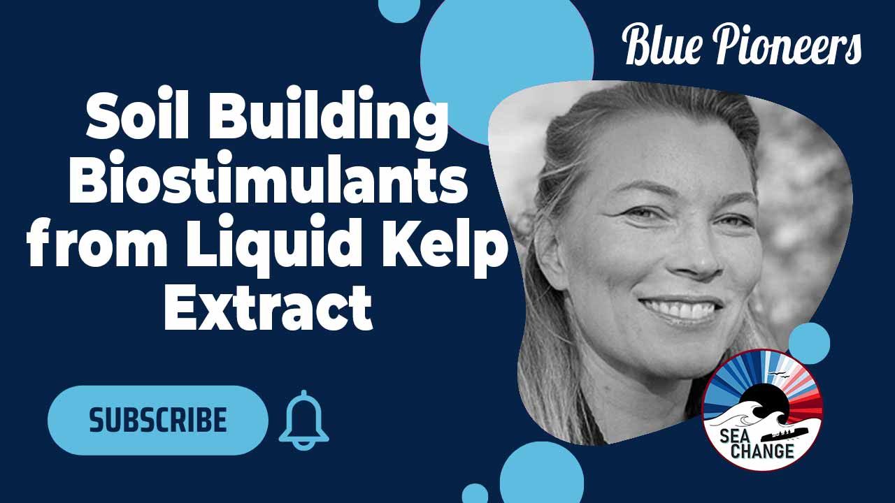 Caroline Slootweg Sails into the Kelp Industry