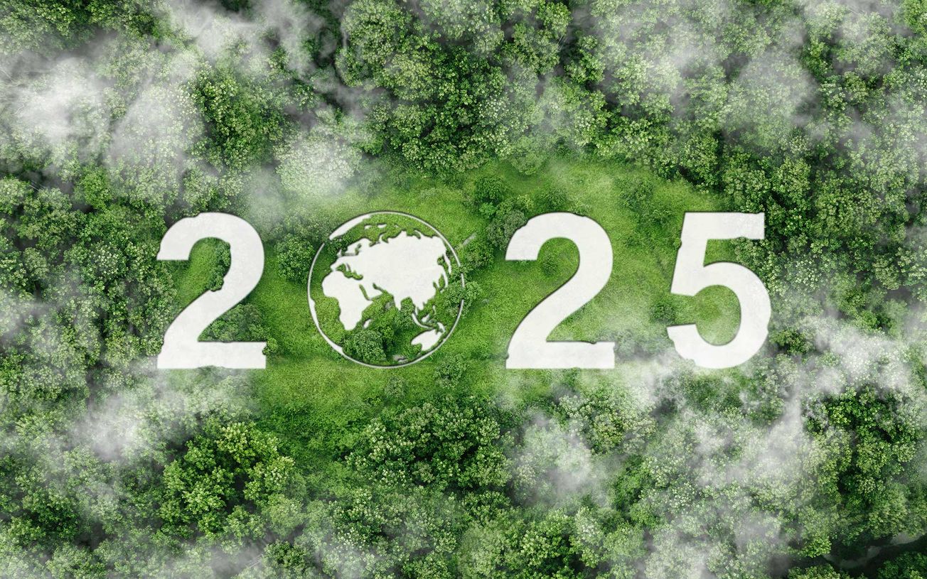 A Year of Hope & Challenge: Reflecting on 2024’s Efforts to Tackle Climate Change and Protect Biodiversity