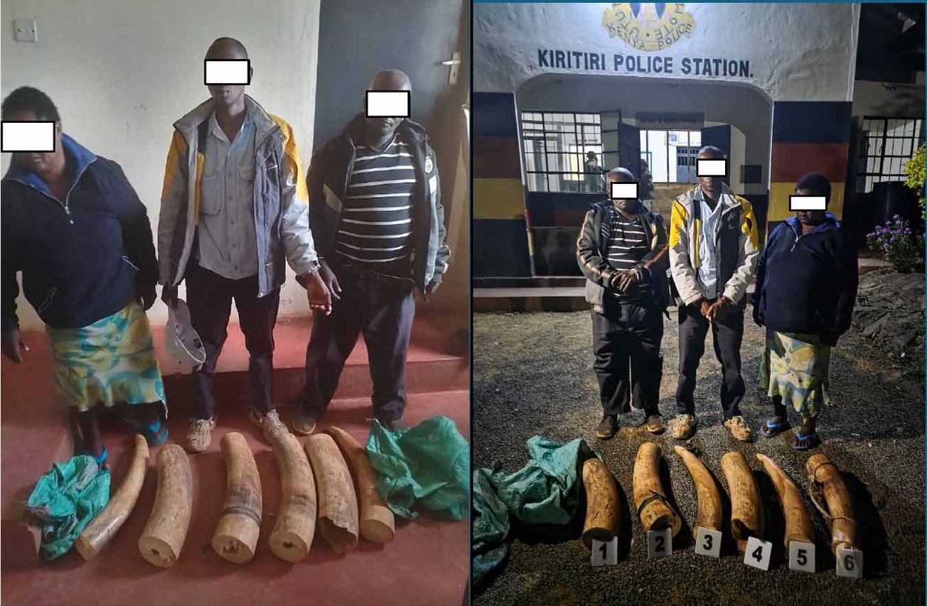 UNDERCOVER OPERATION FOILS IVORY TRAFFICKING ATTEMPT IN KENYA