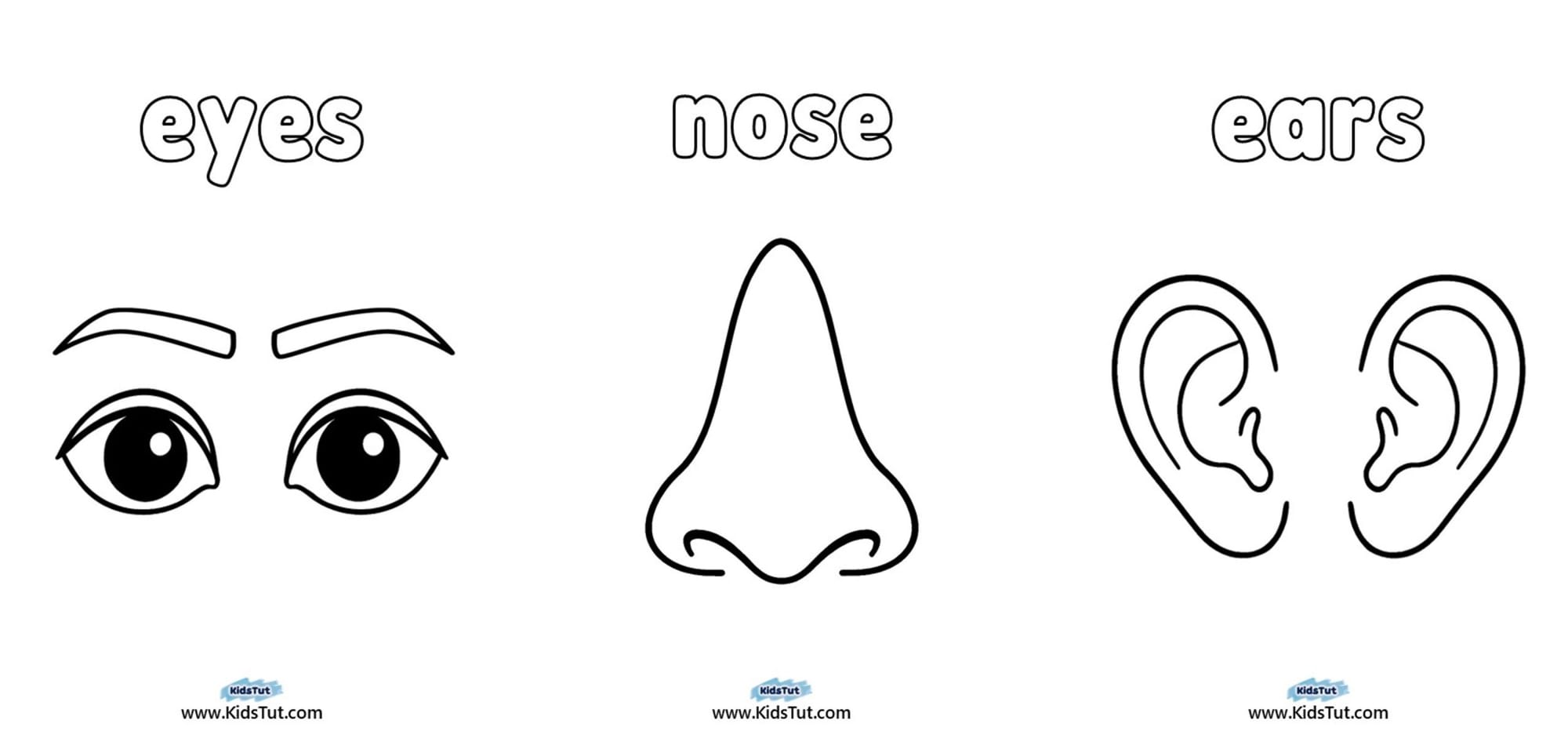 Parts of the Body Worksheet for Kindergarten
