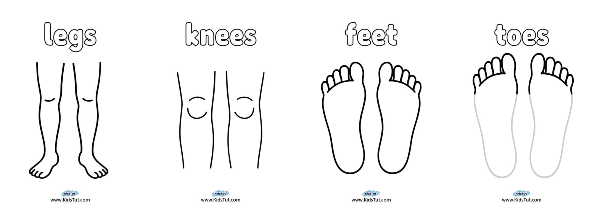 Parts of the Body Worksheet for Kindergarten