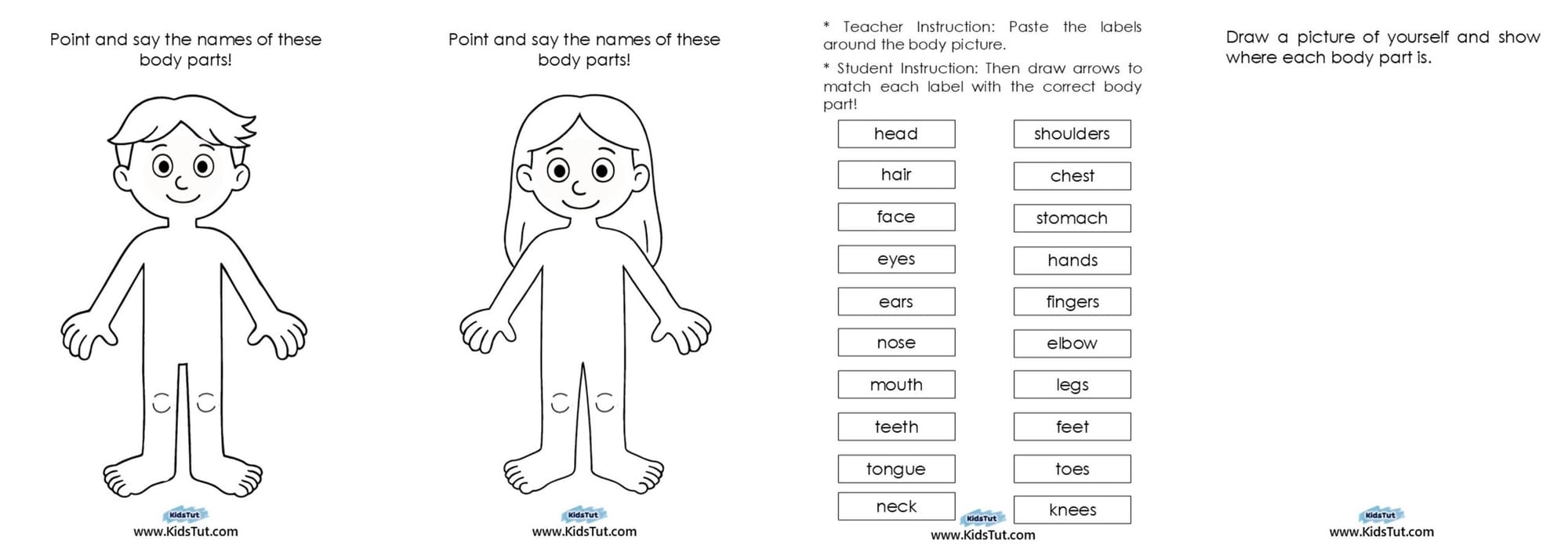Parts of the Body Worksheet for Kindergarten