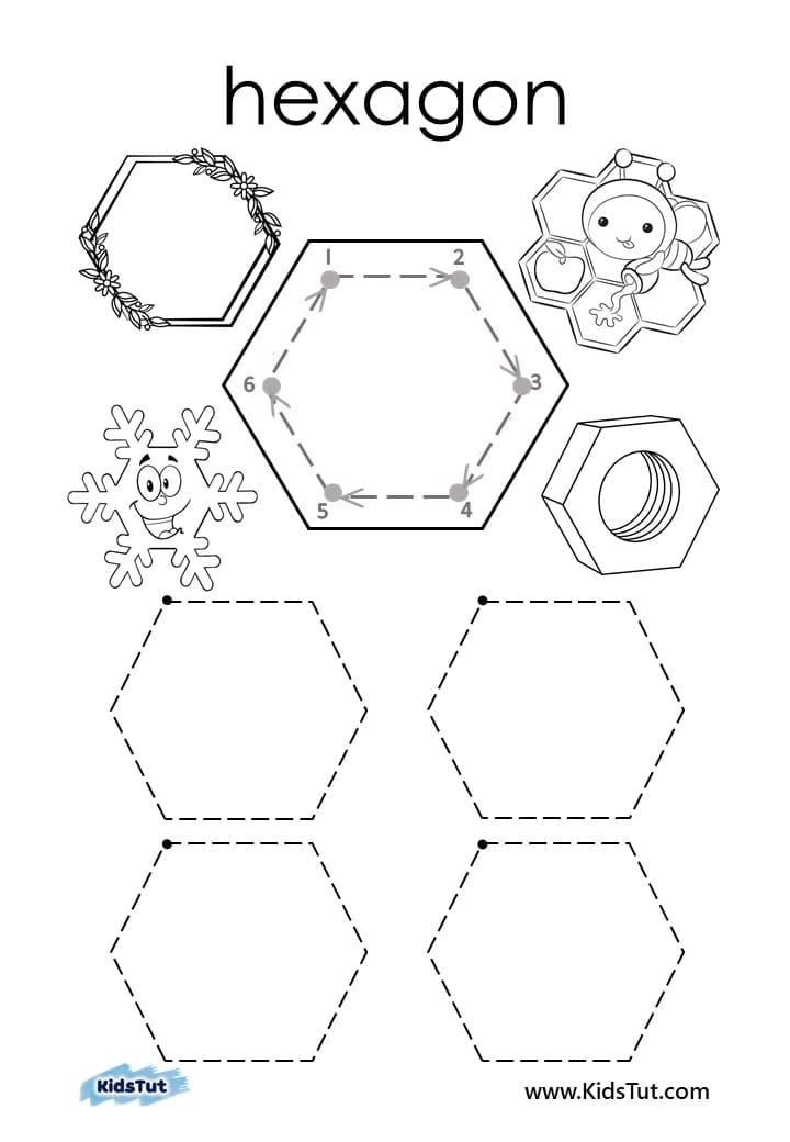 Basic Shapes Worksheet Book