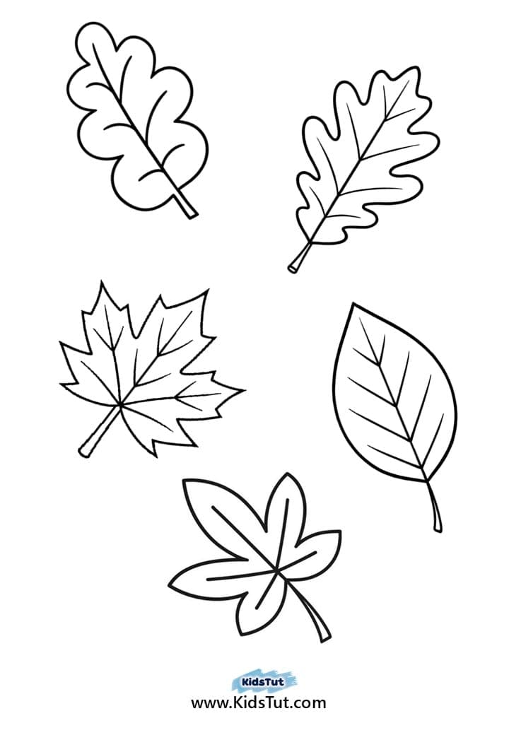 Easy Autumn Crafts for Kids with Free Templates