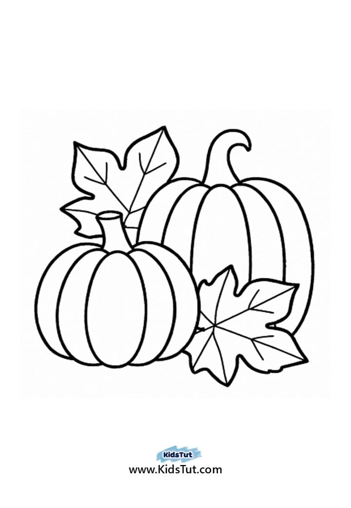 Easy Fall Craft Ideas: Squirrel, Hedgehog & More