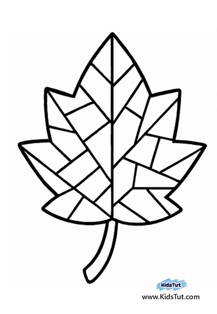 Free Fall Leaves Coloring Pages for Kids to Enjoy