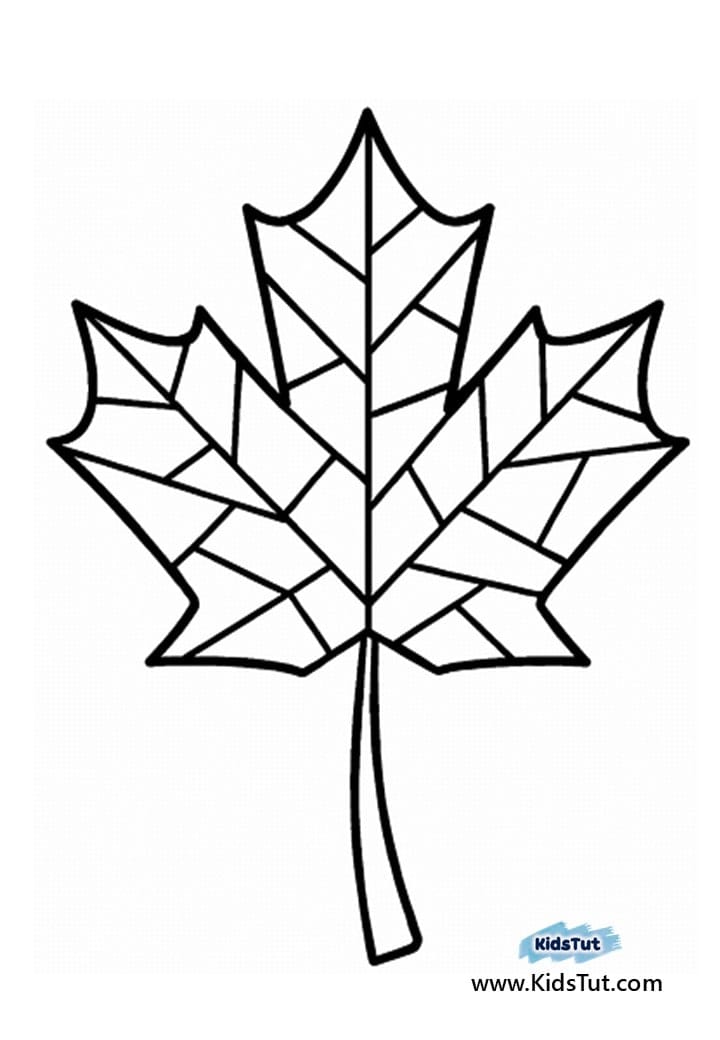 Free Fall Leaves Coloring Pages for Kids to Enjoy
