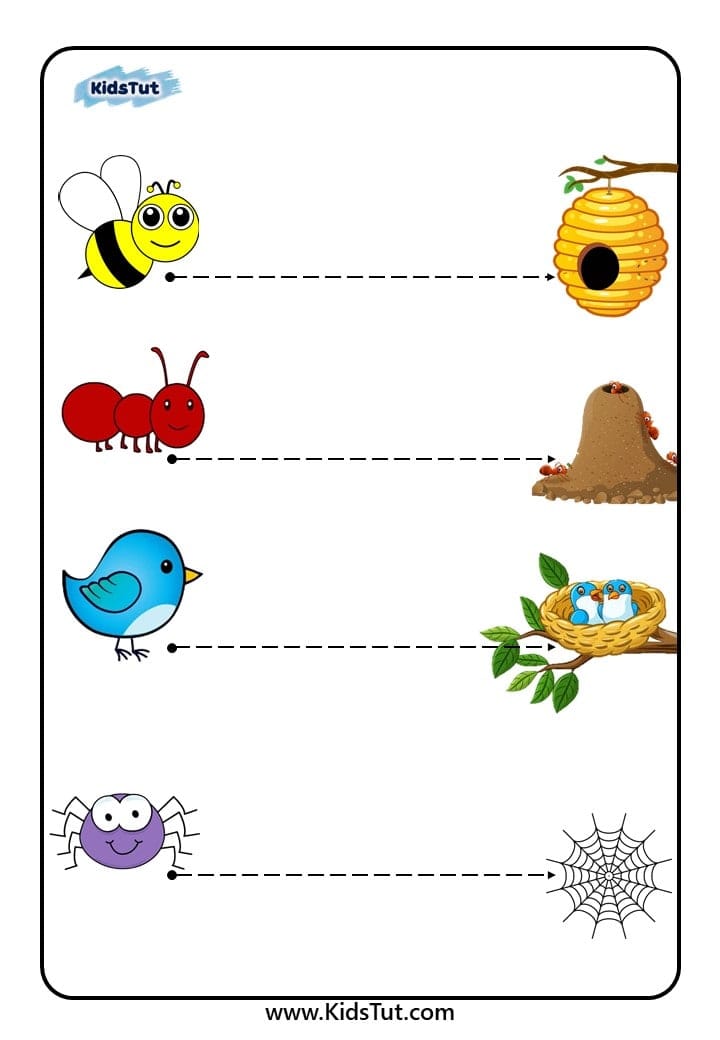 Exciting Pre-writing Worksheets for Kids