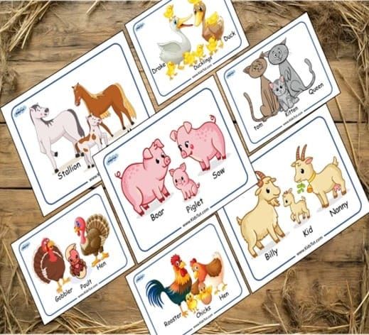 Free Printable Farm Animal Family Cards for Kids!